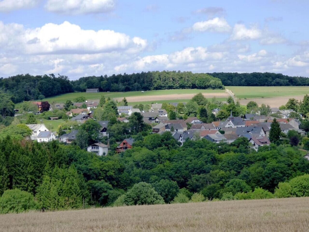 Ein ländliches Dorf, umgeben von Bäumen und Feldern.