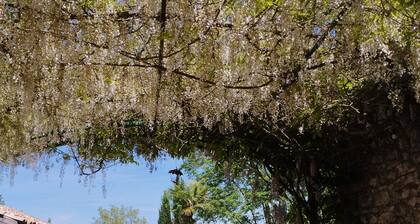 Domaine les Garrigues