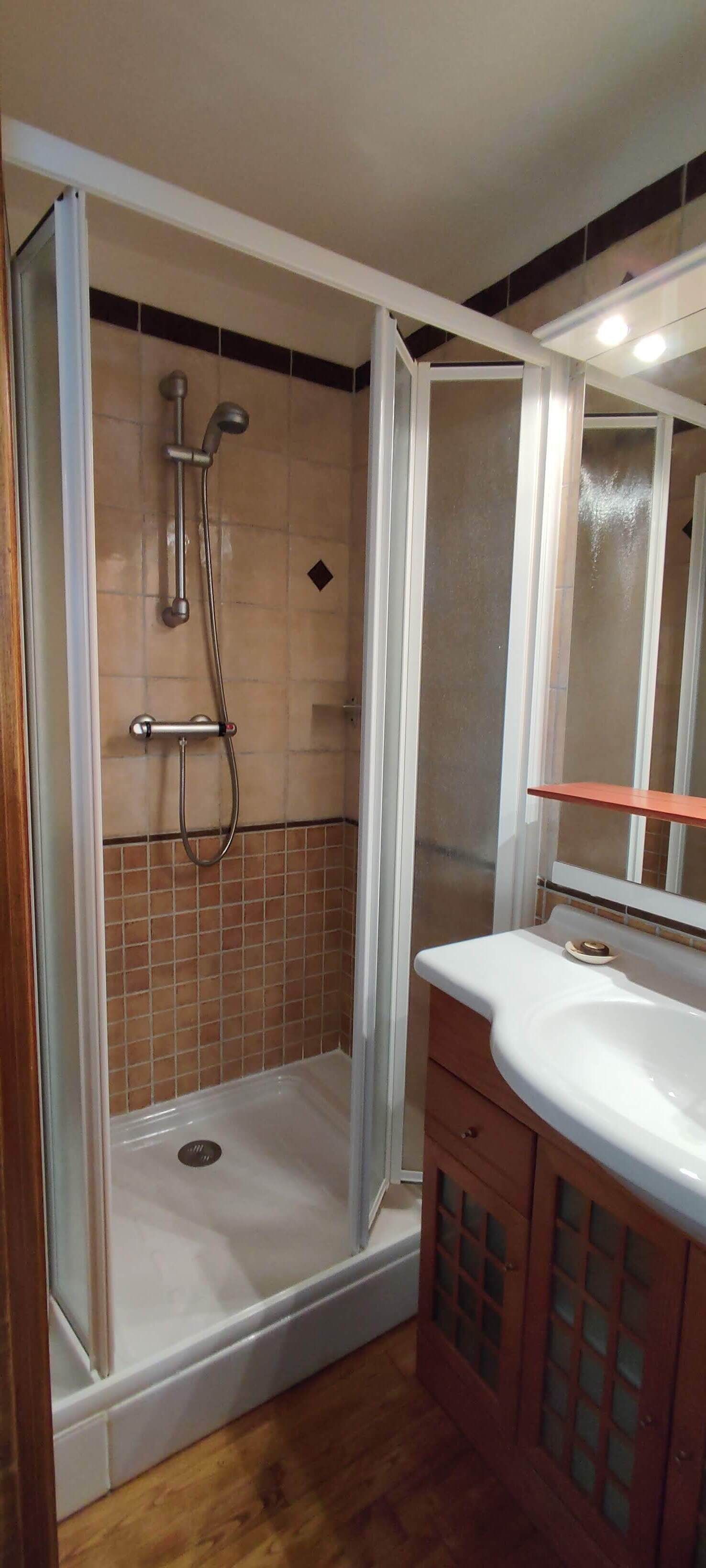 A bathroom with a shower enclosure, a sink, and a mirror.