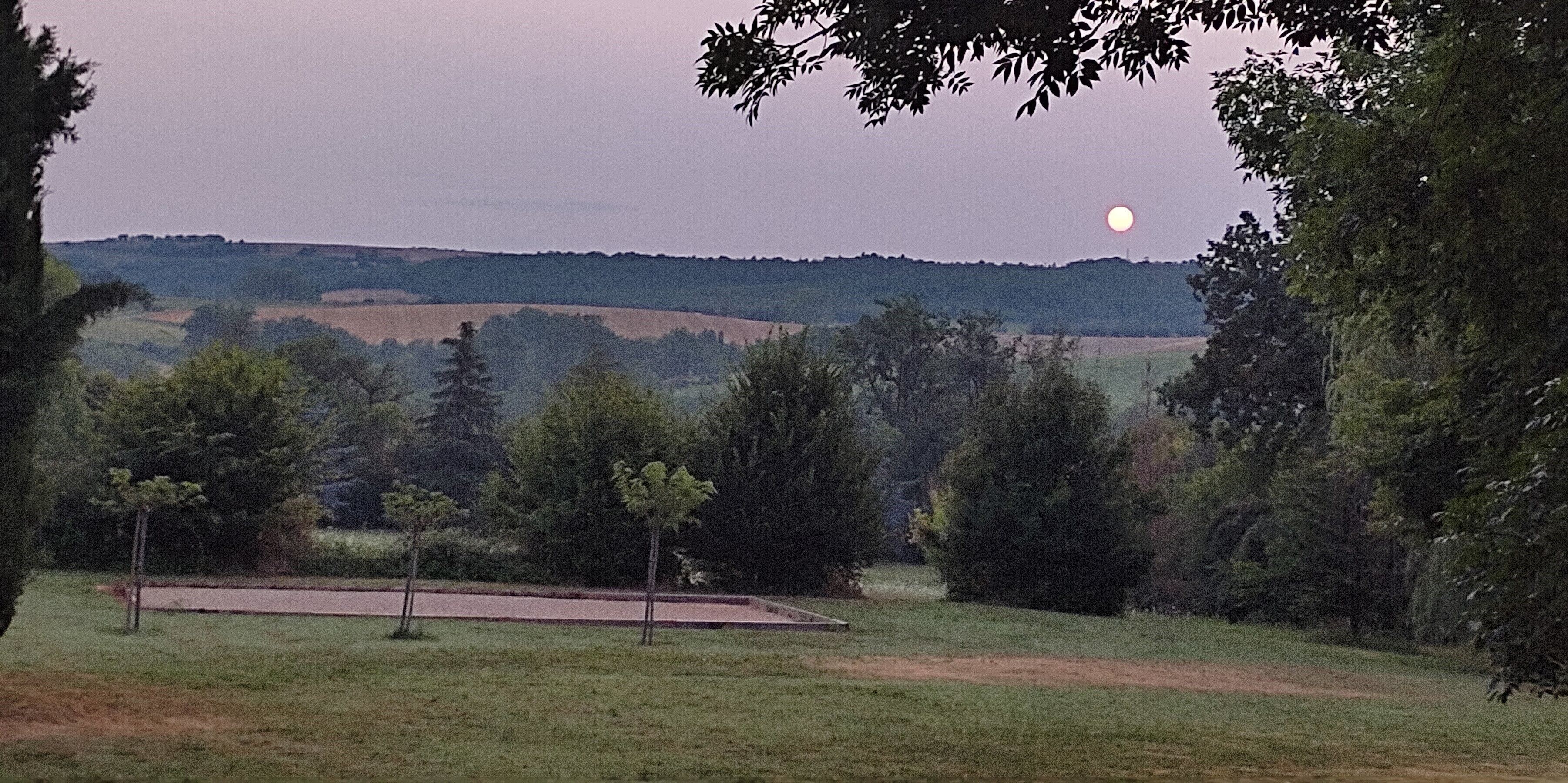 A rural landscape with a field, trees, and a hill in the background.
