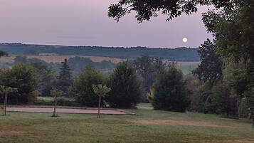 A rural landscape with a field, trees, and a hill in the background.