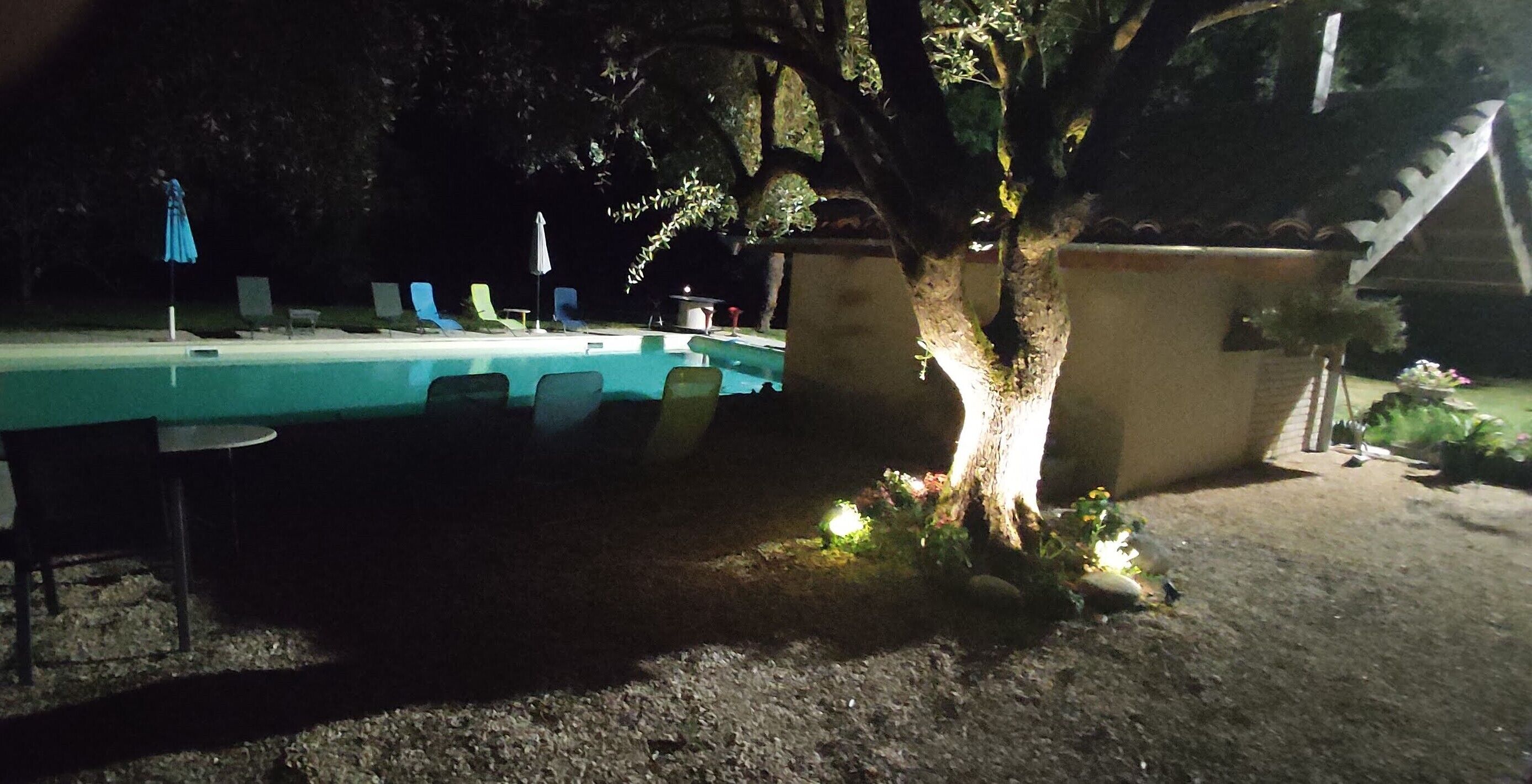 A poolside area with a long table, chairs, and a tree.