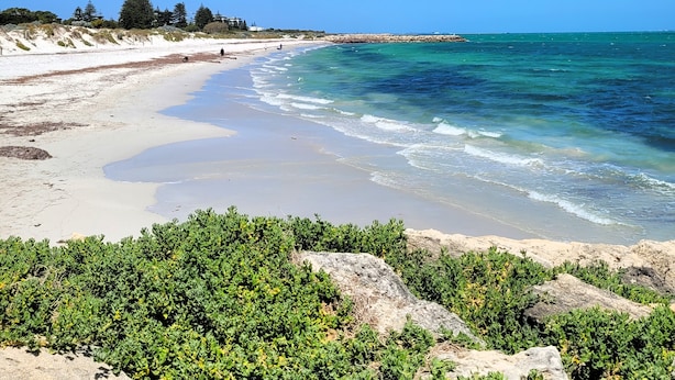 Ein Strand mit klarem, blauem Wasser, sandigem Ufer und grüner Vegetation.