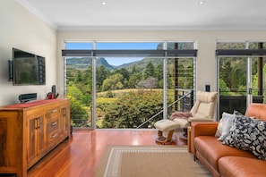 تلفزيون ذكي، مدفأة