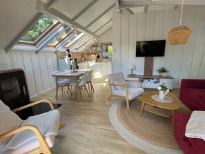 Tv, eldstad och dvd-spelare