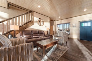 Télévision, cheminée, jeux vidéo, lecteur de DVD