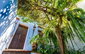 Exterior detail - Casa Candelaria 7 Blocks From the Park (Antigua Guatemala)