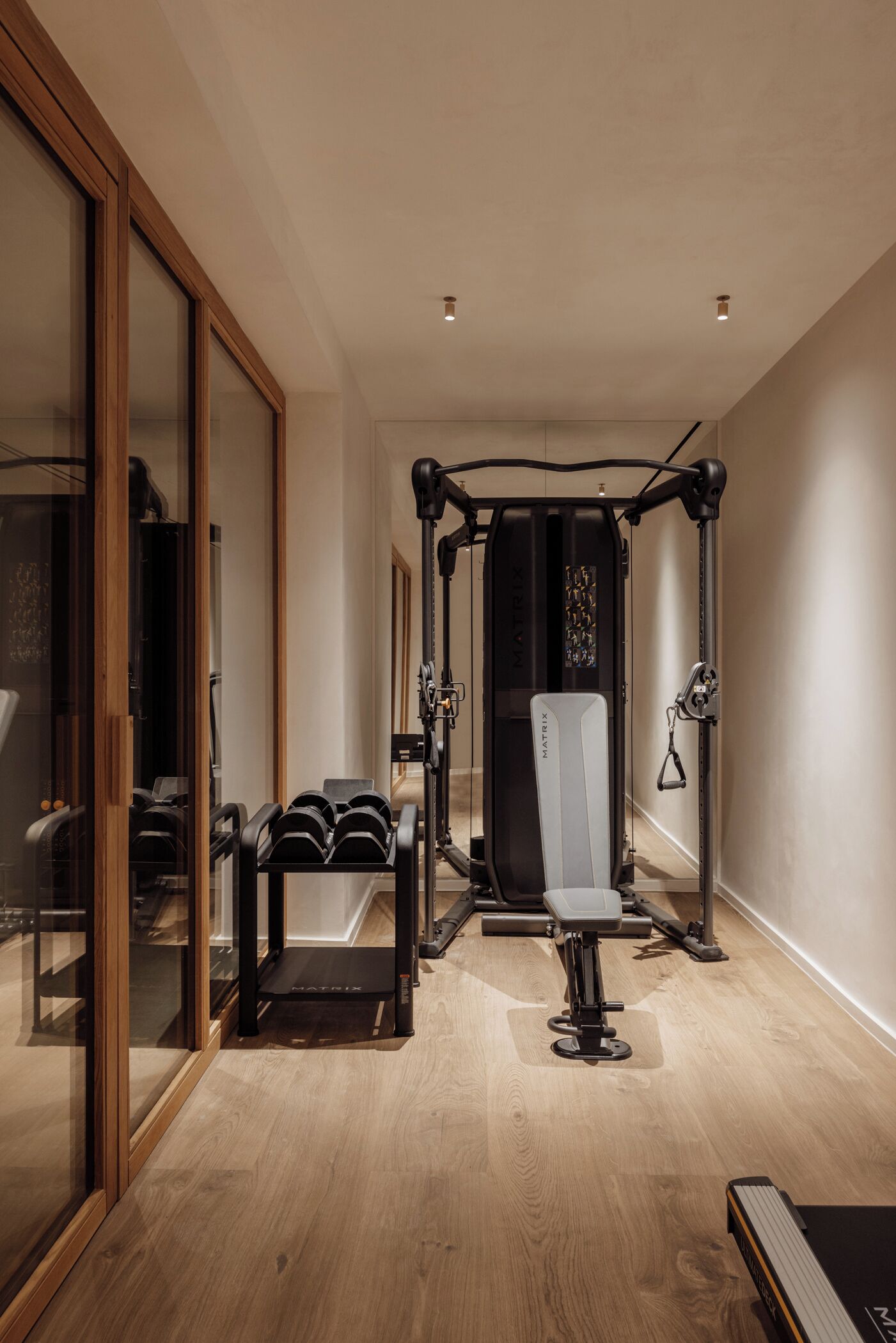 Un gimnasio moderno con barra de dominadas, banco de pesas y estructura para sentadillas.