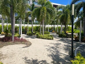 A landscaped area with palm trees, a curved pathway, and a building in the background.