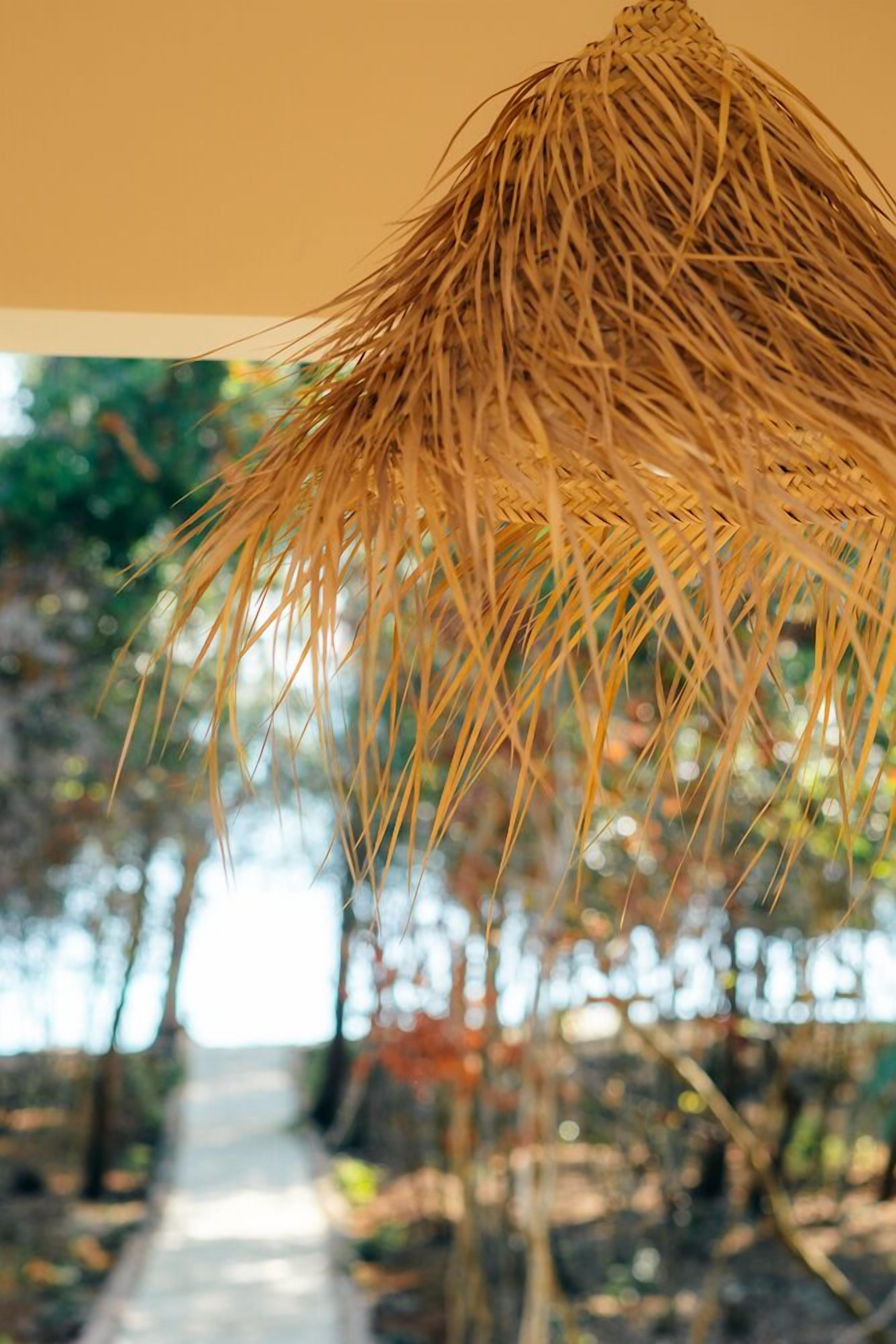 A thatched roof structure, likely part of a building's architecture.
