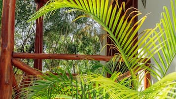 Hypo-allergenic bedding, individually decorated, individually furnished