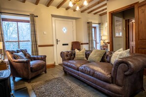 Televisión y chimenea 