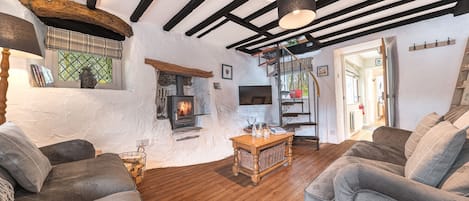 TV, fireplace