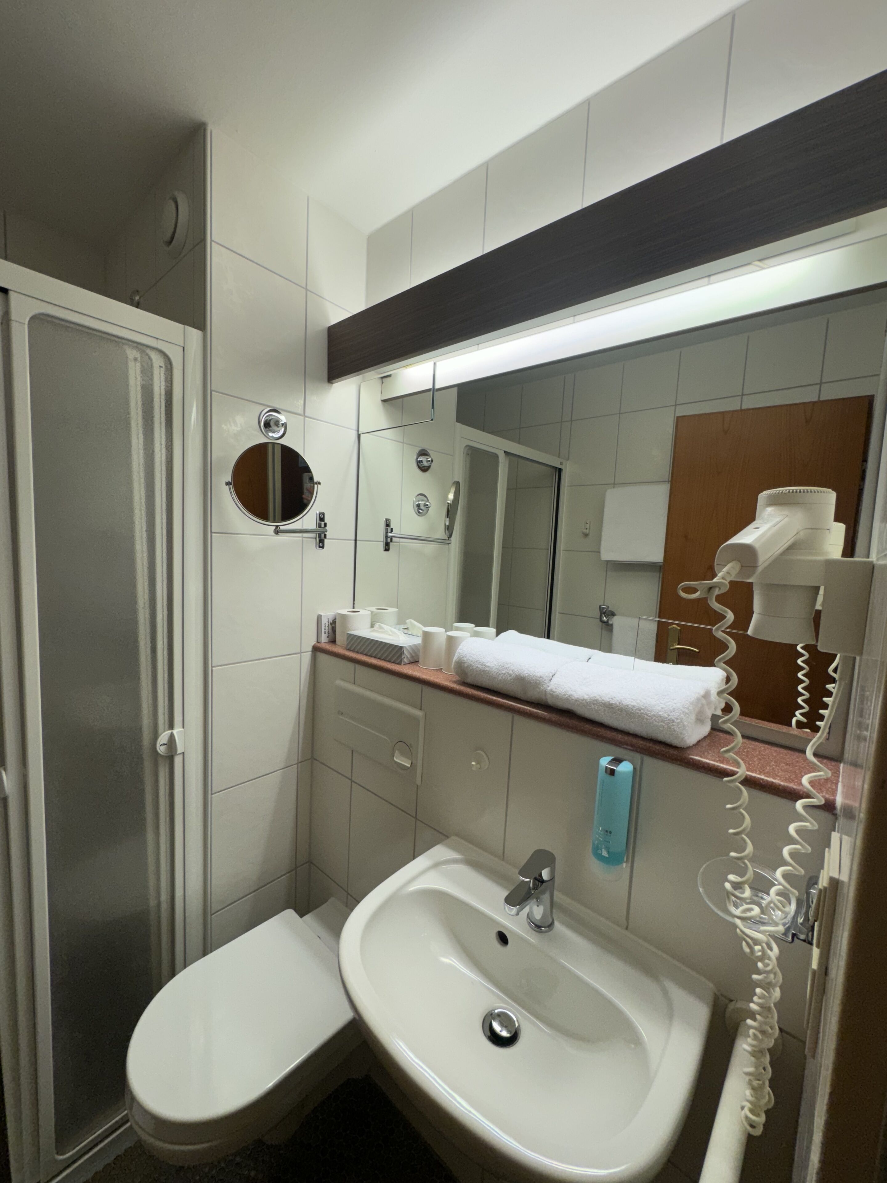 Een kleine badkamer met toilet, wastafel en douche.