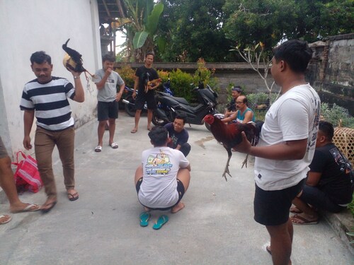 Livin house adalah rumah pedesaan yang kental dengan adat kehidupan di bali