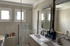 Features a sleek vanity with a large mirror and sink, alongside a glass-enclosed shower with a handheld showerhead.