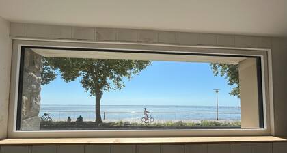 Villa Aziliz - Large Appartement Face Mer