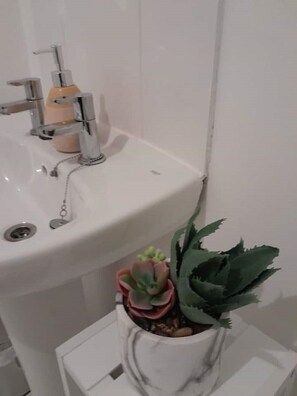 Ducha, secador de pelo, toallas y jabón
