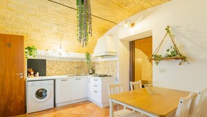 A compact kitchen with a washing machine, a dining table with chairs, and a hanging plant.