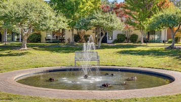 Departamento (1 Bedroom) | Interior