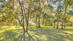 A park with tall trees and a gazebo. - Williston Home w/ Yard: 6 Mi to Devils Den Spring (Williston)