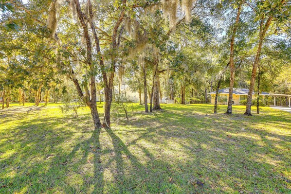 House (2 Bedrooms) | Interior - Williston Home w/ Yard: 6 Mi to Devils Den Spring (Williston)