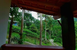 View from property - Casa Namestê (Nova Friburgo)