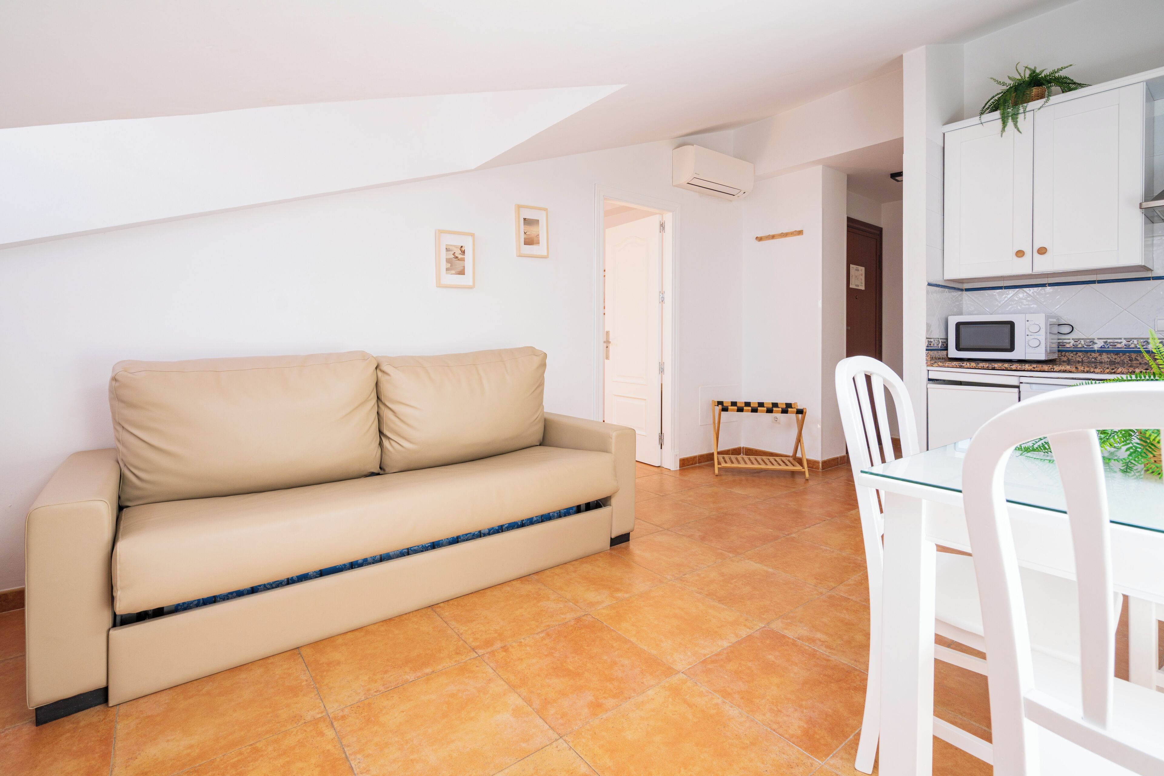 A compact living space with a sofa, a dining table with chairs, a kitchen area with cabinets and a microwave, and a small plant on the cabinet.