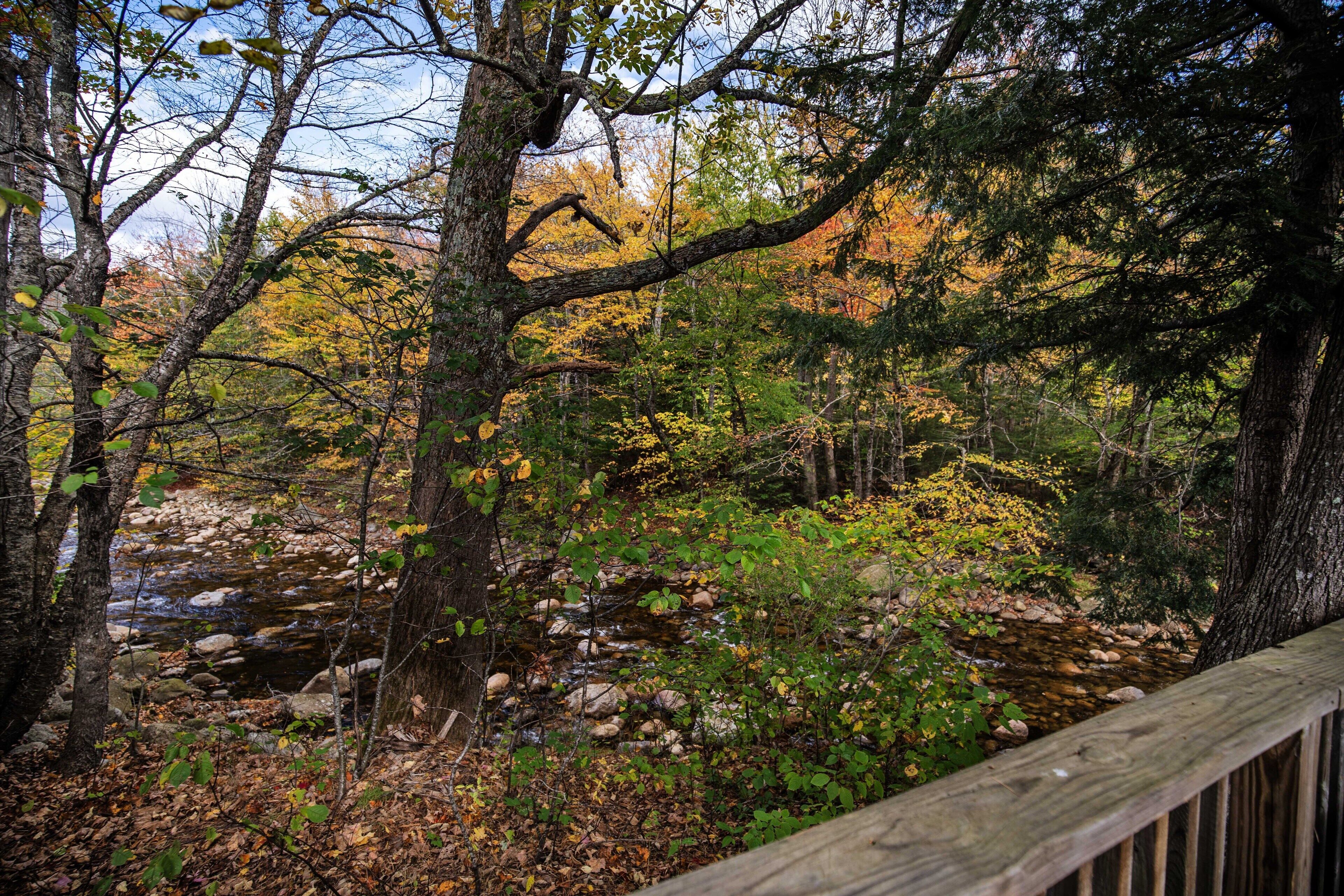 A wooden deck overlooking a rocky stream surrounded by autumn foliage.
