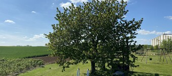 Complexe Familial Avec Grand Terrain et Location de van Américain