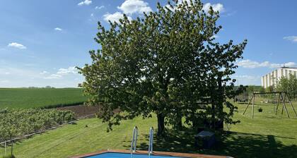 Complexe Familial Avec Grand Terrain et Location de van Américain