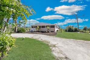 Property grounds - Beautiful Country house overlooking 13.5 acres and a small lake (St James City)