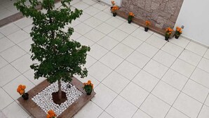Photo non classée, 3 sur 24, bouton