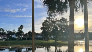 Vista de un lago con reflejos de árboles y casas, rodeado de vegetación y palmeras.