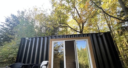 Cozy tiny home, immersed in the forest, overlooking the pond!
