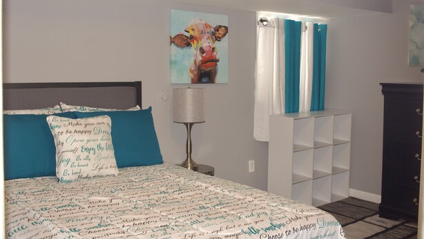 Un dormitorio con cama, almohadas, una mesita de noche, lámpara, un cuadro en la pared, cortina de ducha y estantería.