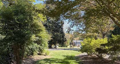 Quiet Dunwoody Neighborhood