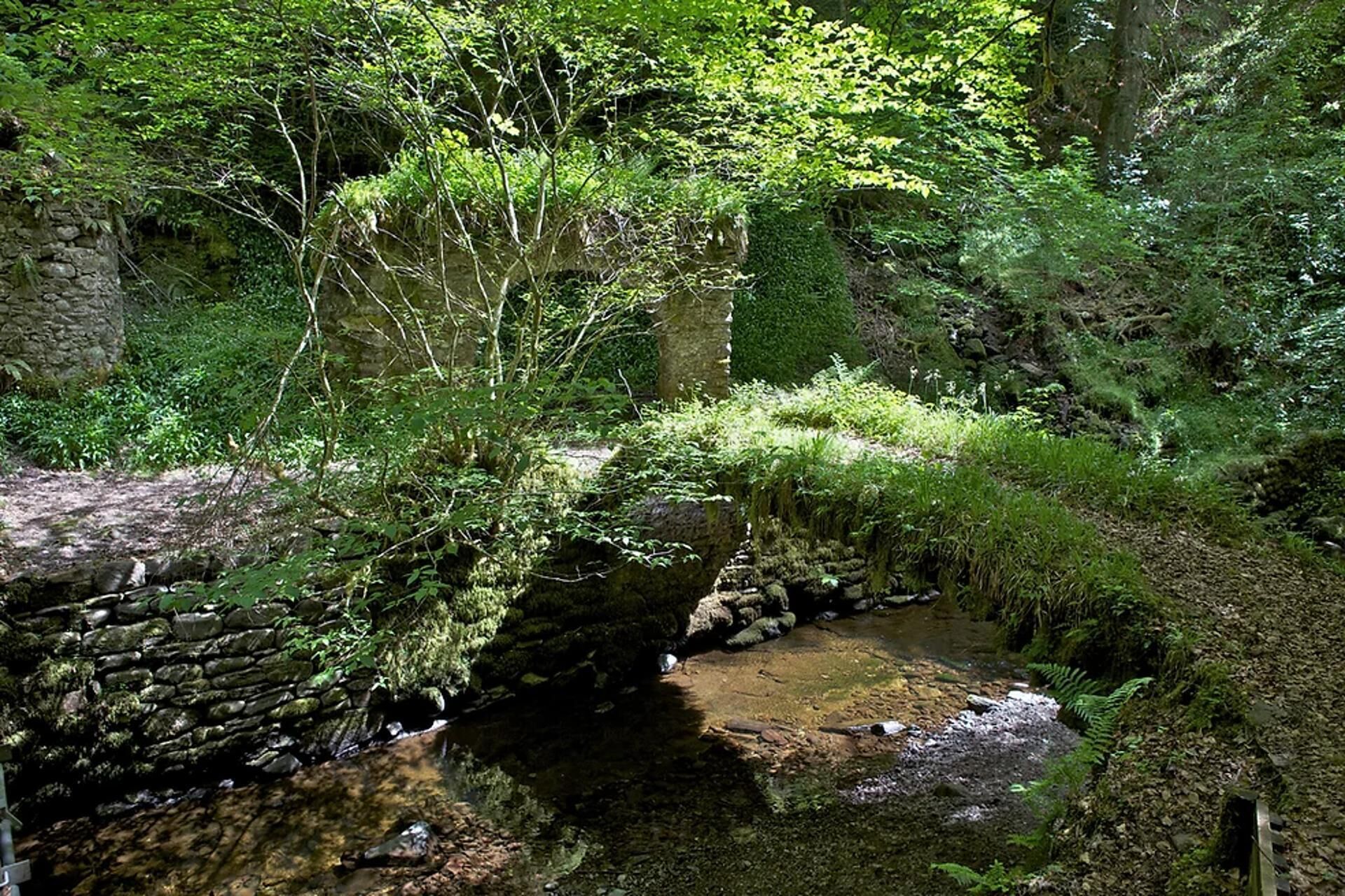 Eine Steinbrücke über einem Bach in einer bewaldeten Gegend mit üppigem Grün und moosbewachsenen Steinen.
