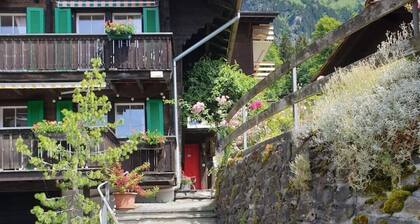 Apt 1, Chalet Träumeli, Wengen
