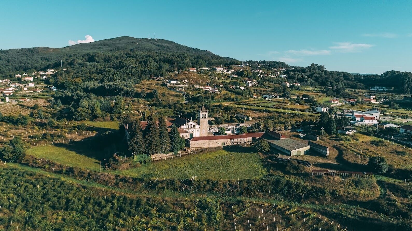 Foto - Alma Candida 24