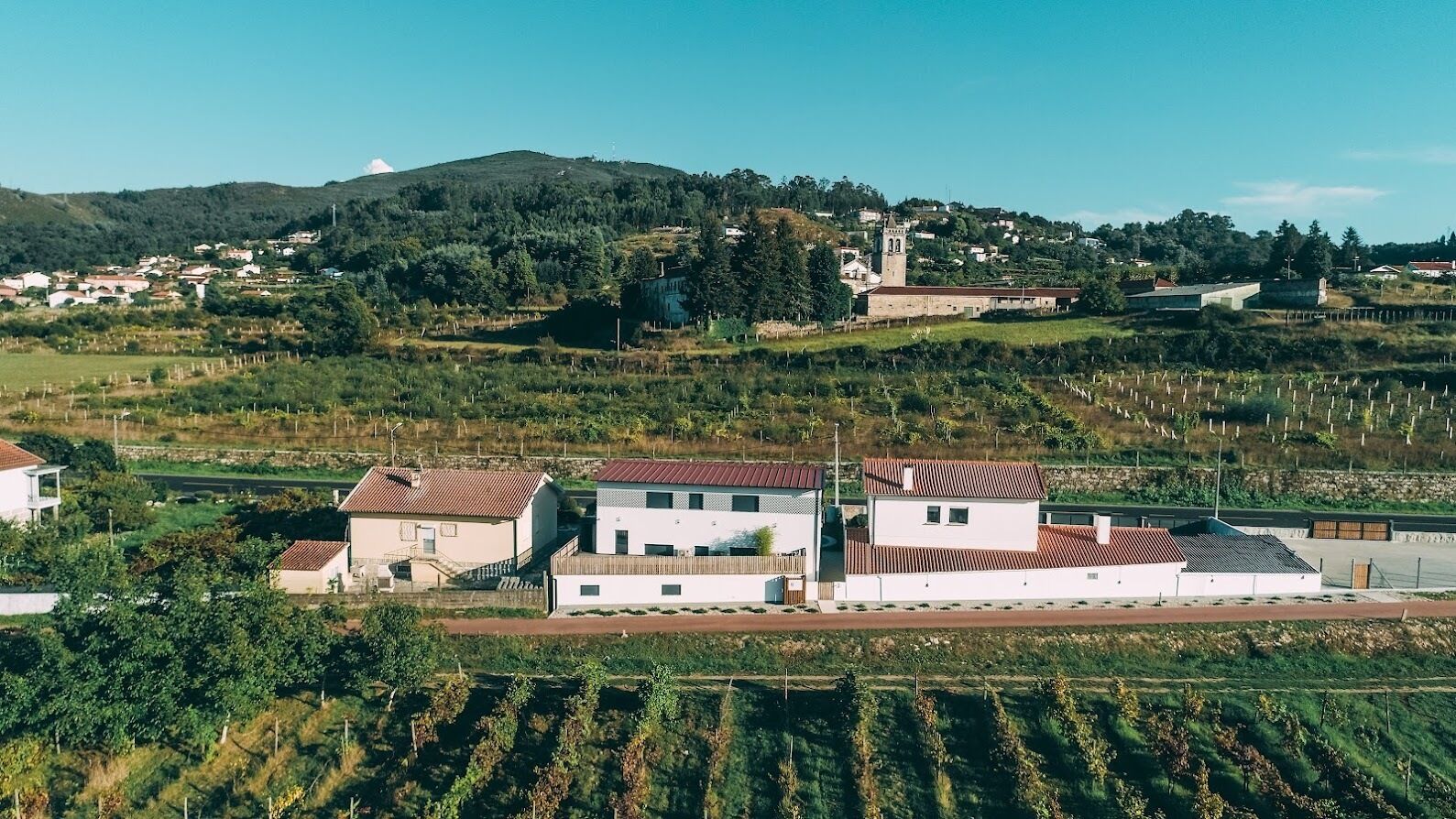 Foto - Alma Candida 24