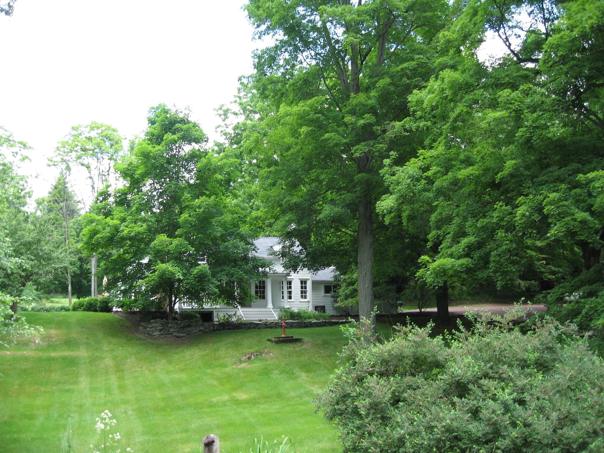 A house surrounded by lush greenery and a well-maintained lawn.