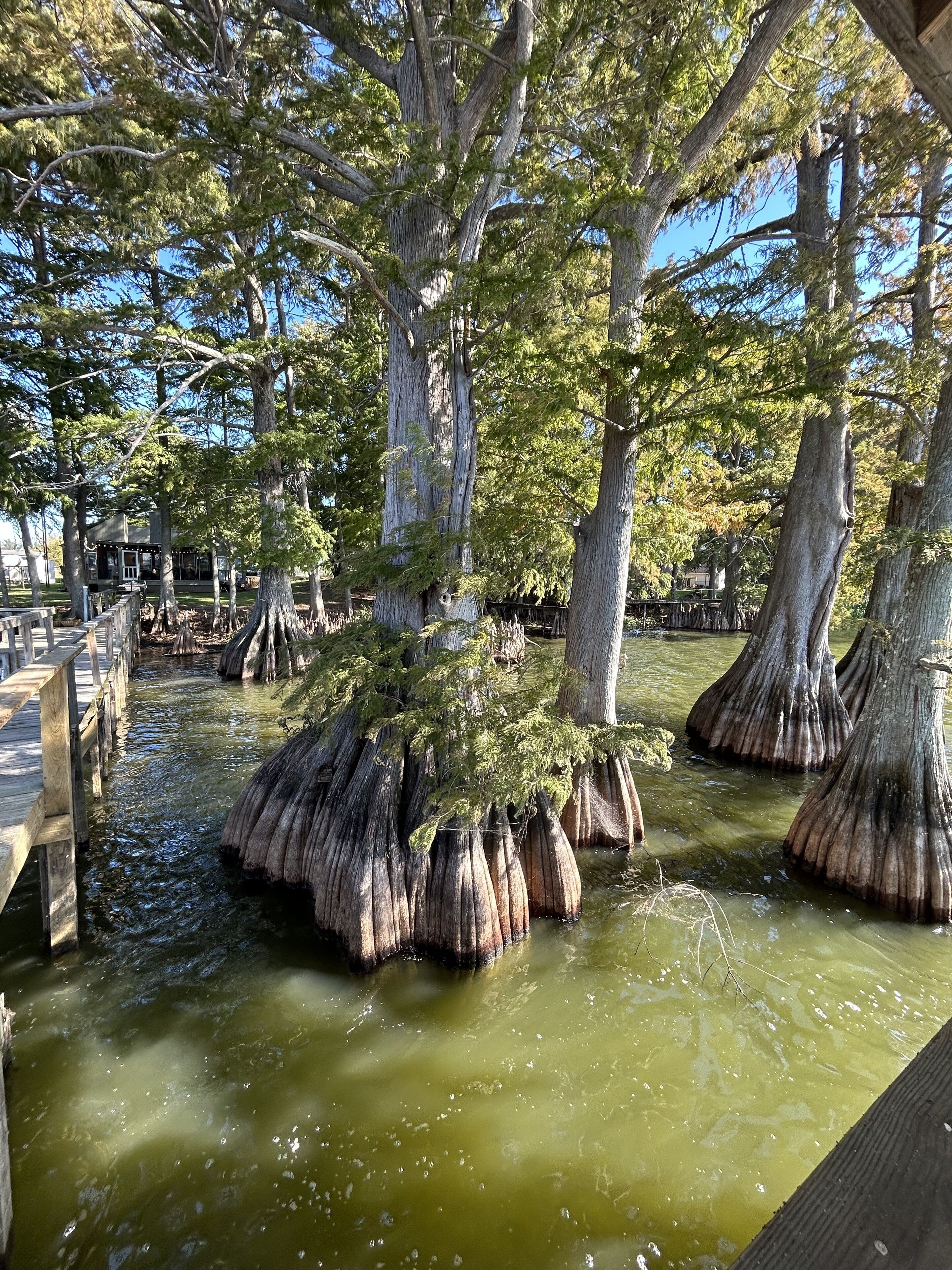 pic