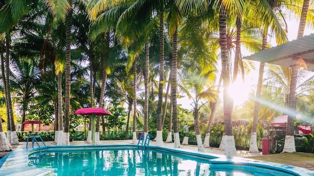 A swimming pool surrounded by palm trees, with a ladder leading into the water and a red umbrella nearby.