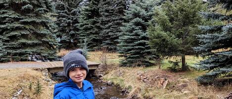 A person standing on a metal grate over a stream, surrounded by coniferous trees.