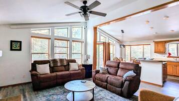 Smart TV, fireplace, books