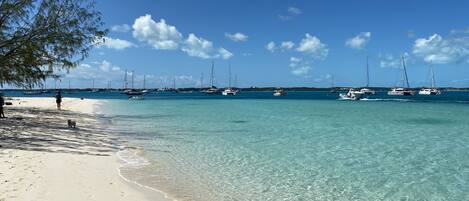 Sun loungers, beach towels