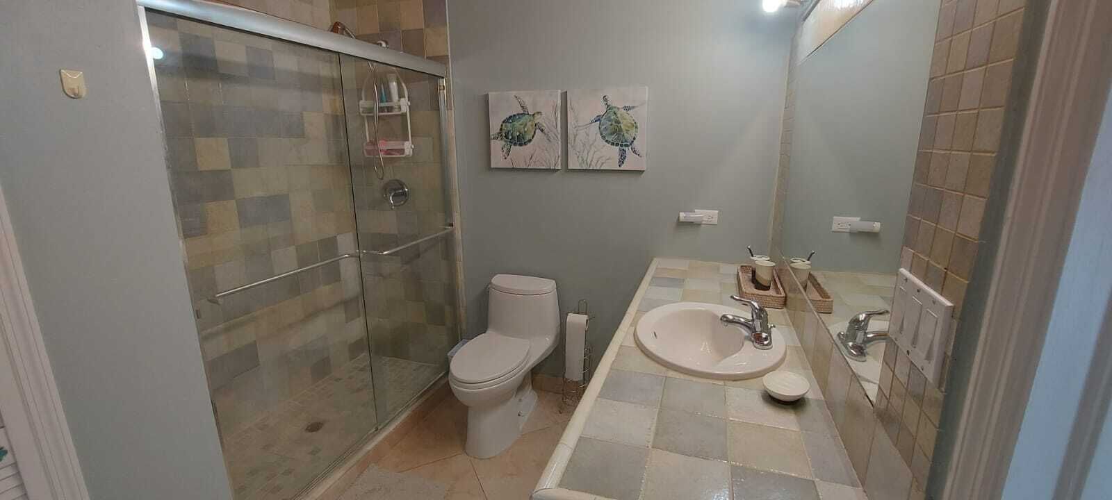 Ein Badezimmer mit einer Duschkabine, einer Toilette, einem Waschbecken und zwei an der Wand befestigten Schildkrötenbildern.