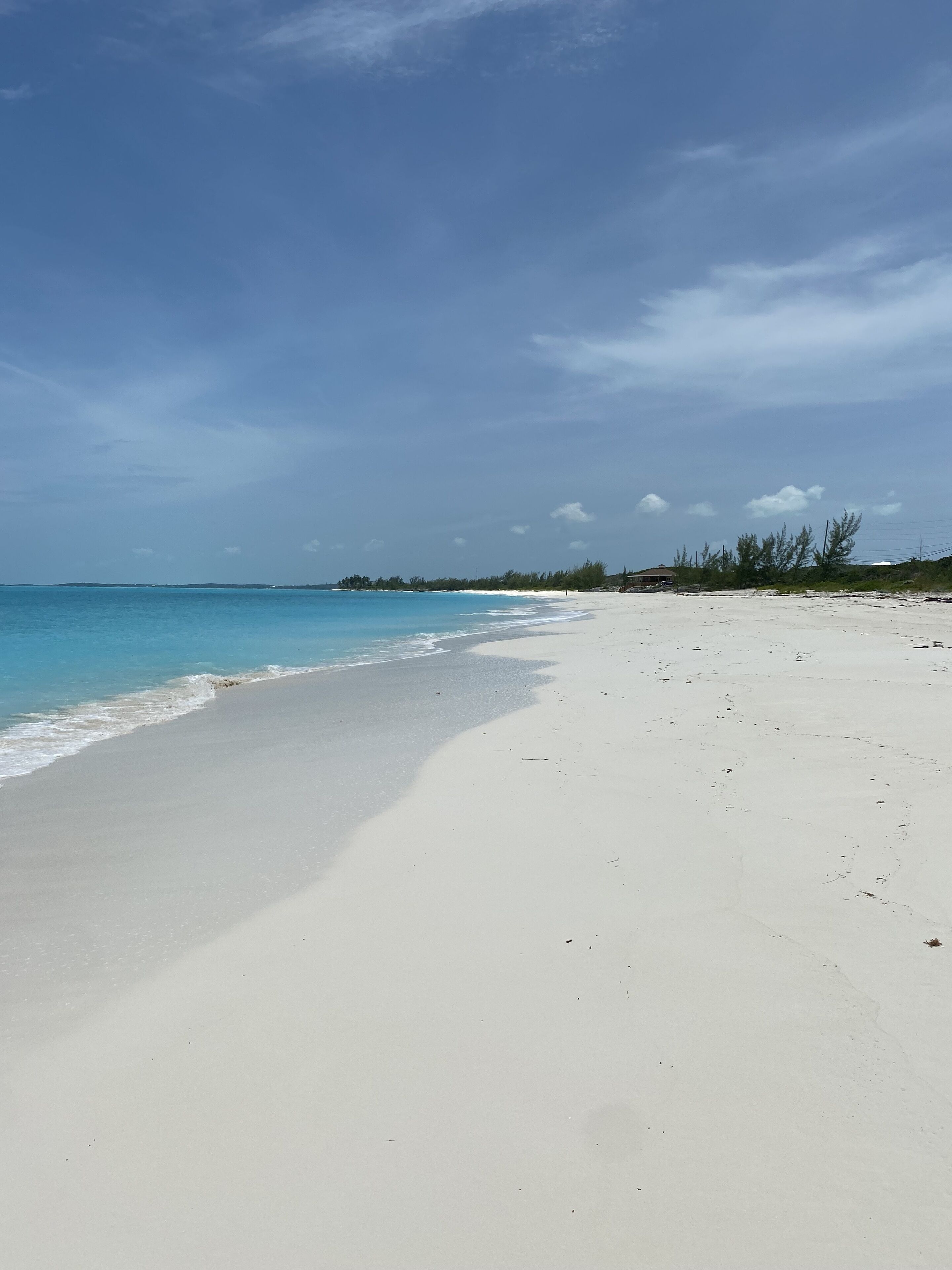 Une vaste plage de sable fin, avec des vagues douces, un ciel dégagé et des arbres qui se dessinent à l’horizon.