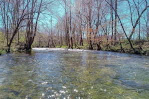 A river flowing through a forested area with clear water and trees on both sides.